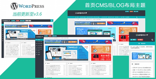 WordPress主题wpdx响应式CMS/Blog双布局v3.6-图片1